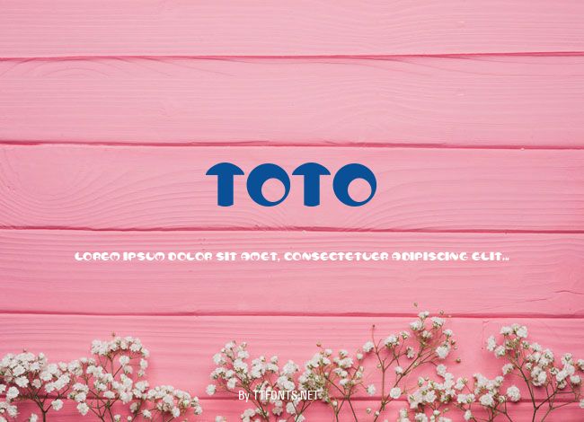 Toto example