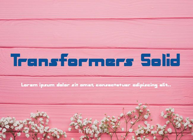 Transformers Solid example