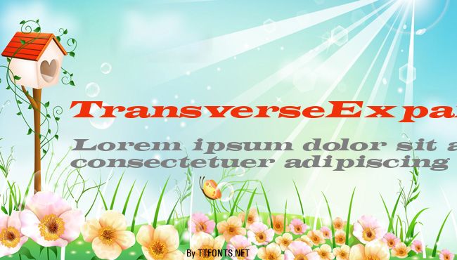 TransverseExpandedSSK example
