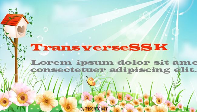 TransverseSSK example