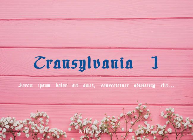 Transylvania 1 example