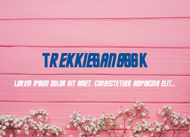 TrekkieSansSSK example