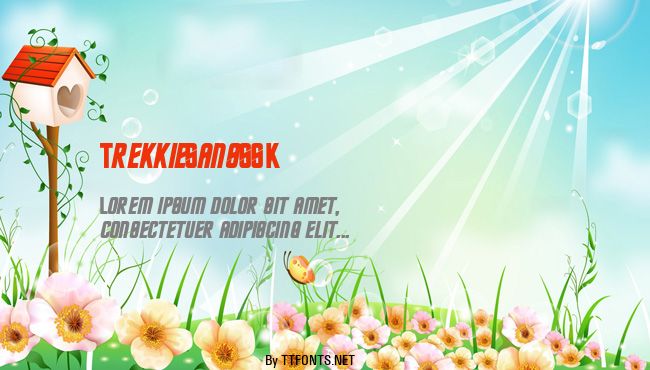 TrekkieSansSSK example