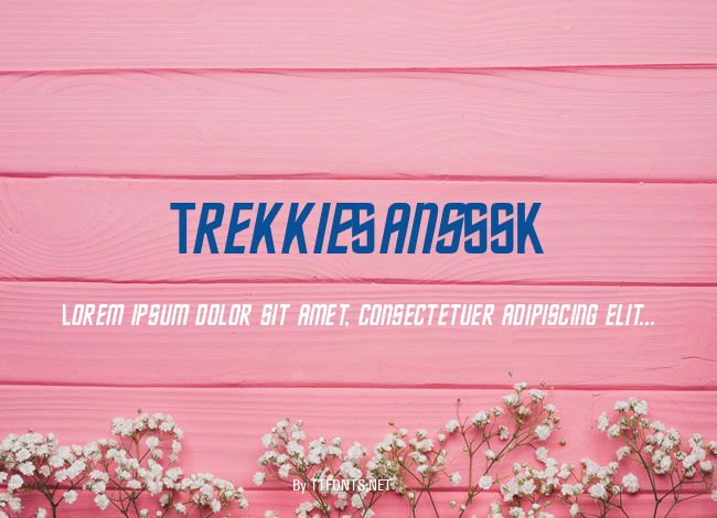 TrekkieSansSSK example