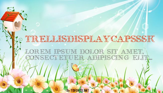 TrellisDisplayCapsSSK example