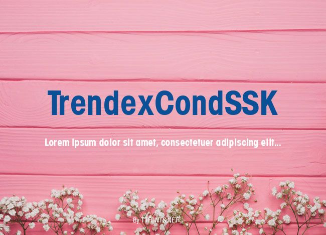 TrendexCondSSK example