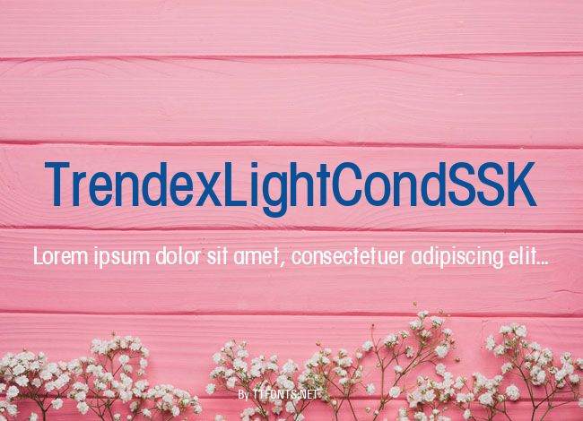 TrendexLightCondSSK example