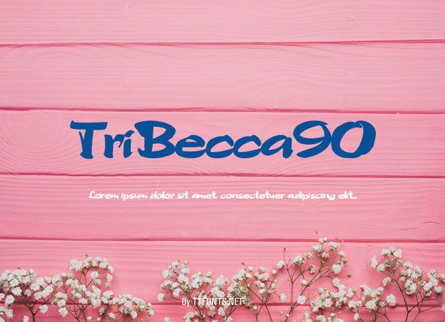 TriBecca90 example