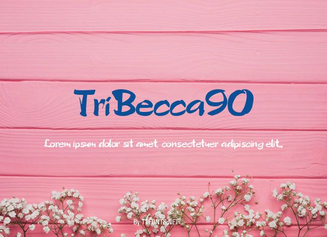 TriBecca90 example