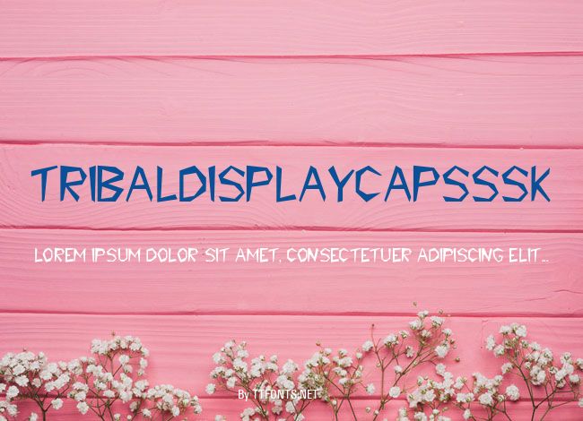 TribalDisplayCapsSSK example
