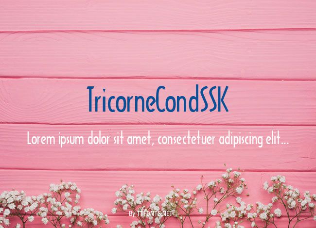 TricorneCondSSK example