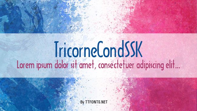 TricorneCondSSK example