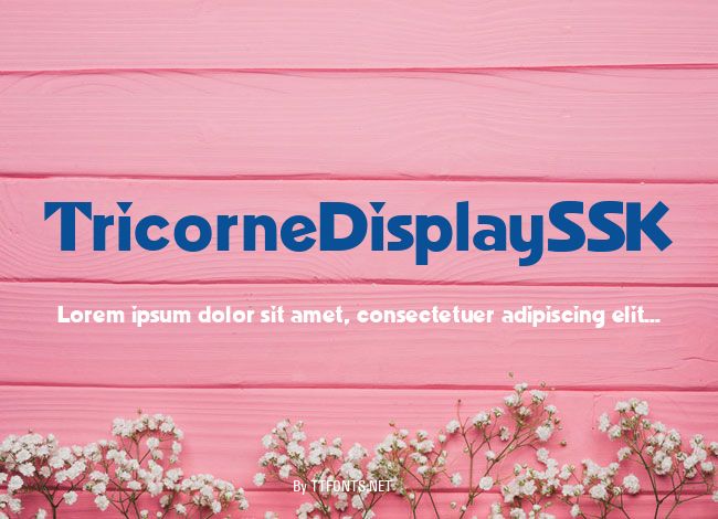 TricorneDisplaySSK example