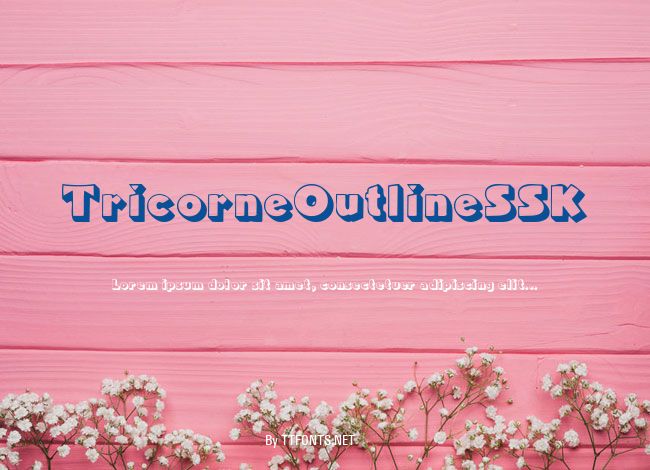 TricorneOutlineSSK example