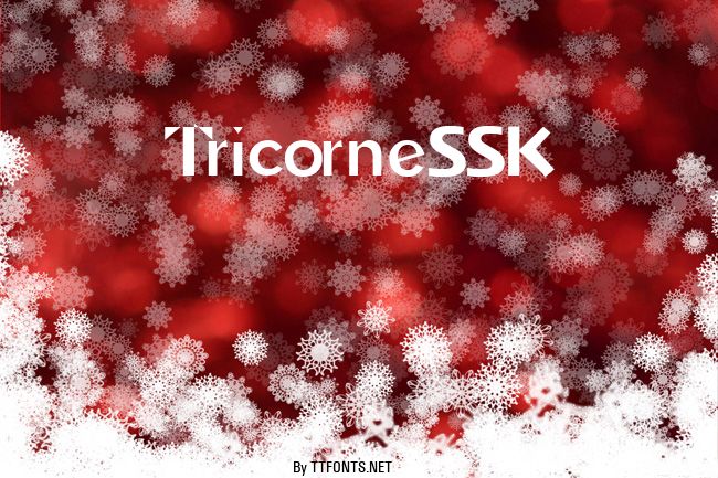 TricorneSSK example