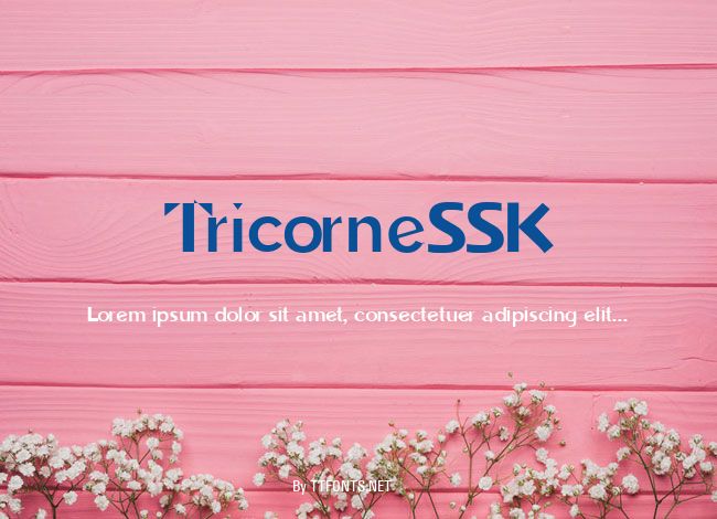 TricorneSSK example