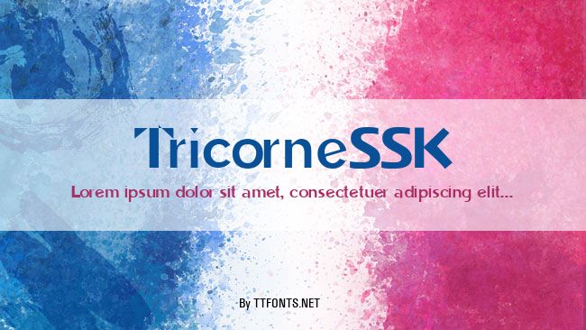 TricorneSSK example