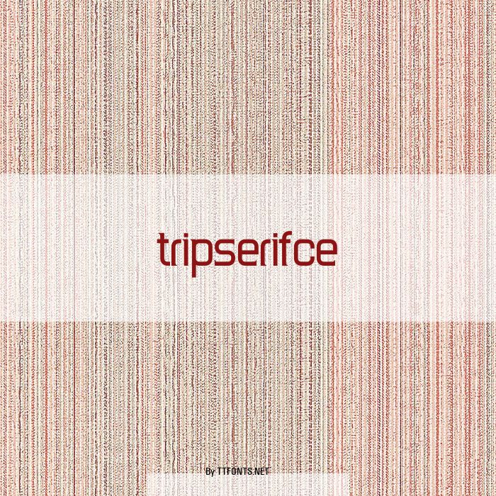TripSerifCE example
