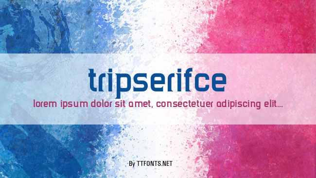 TripSerifCE example