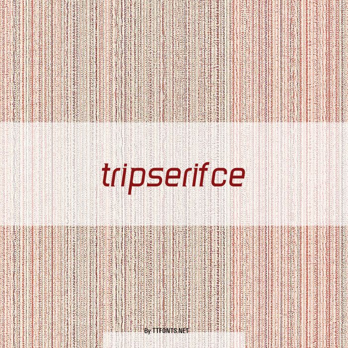 TripSerifCE example