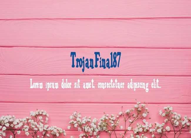 TrojanFinal87 example
