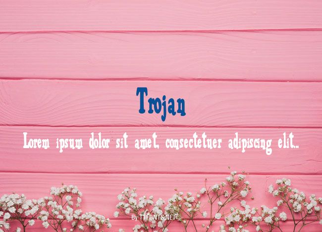 Trojan example
