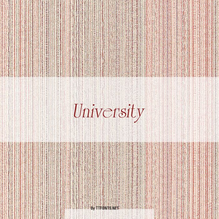 University example