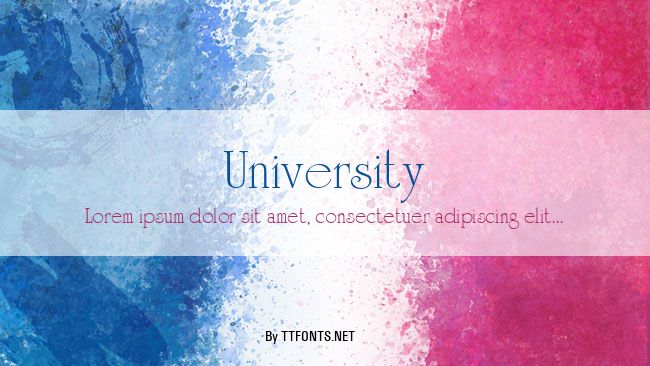 University example
