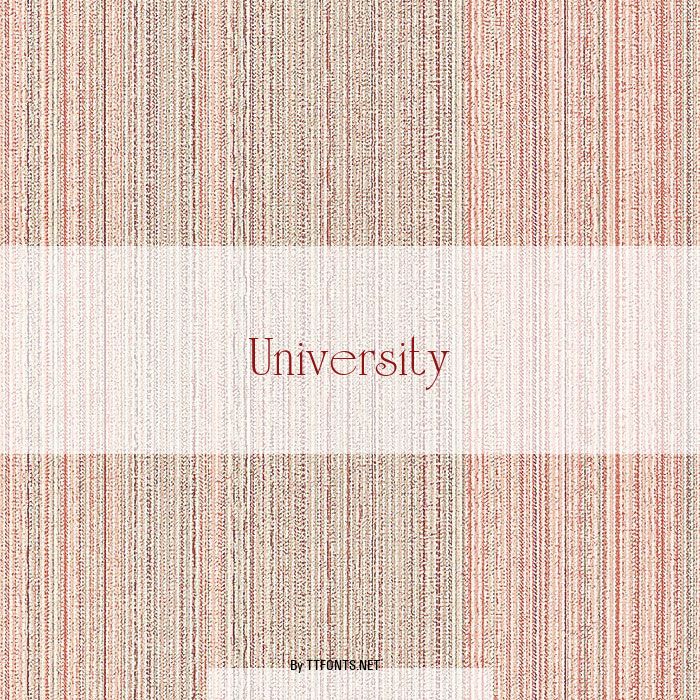 University example