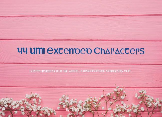 YY UMI Extended Characters example