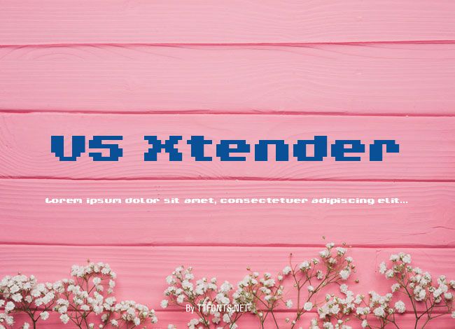 V5 Xtender example