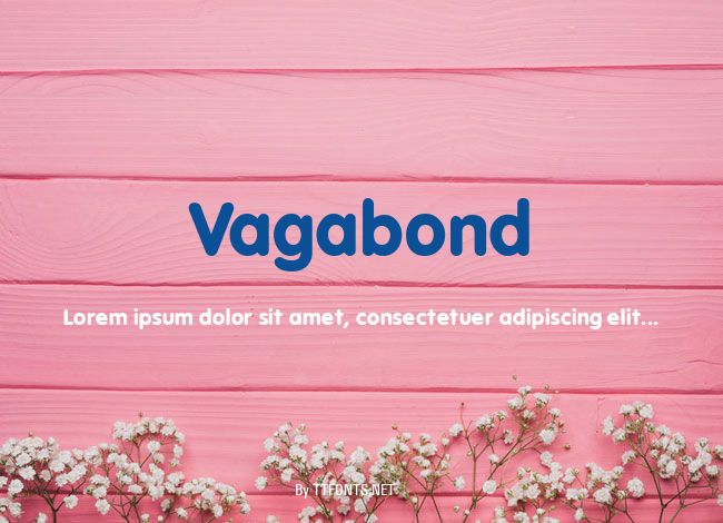 Vagabond example