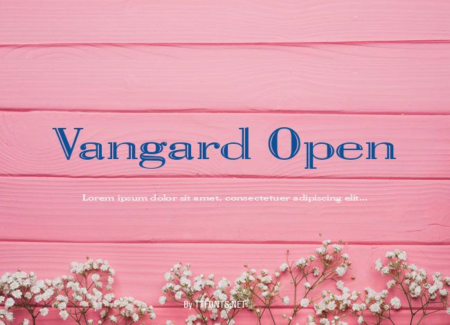 Vangard Open example