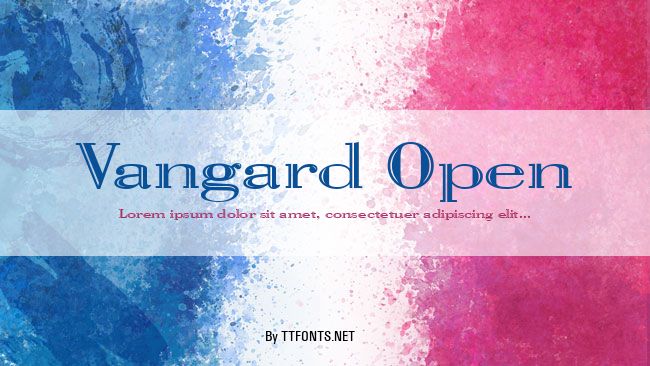 Vangard Open example