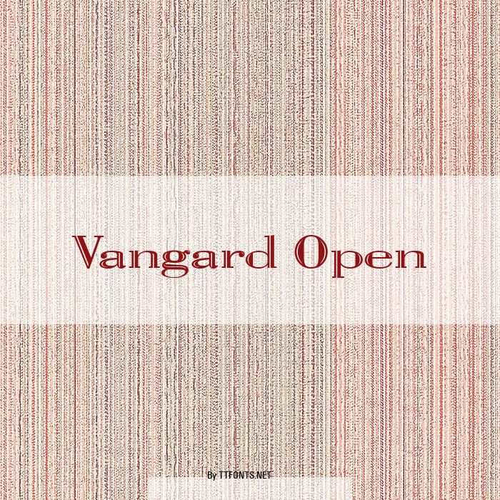 Vangard Open example