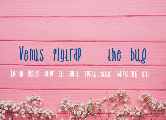 Venus flytrap   the bug example