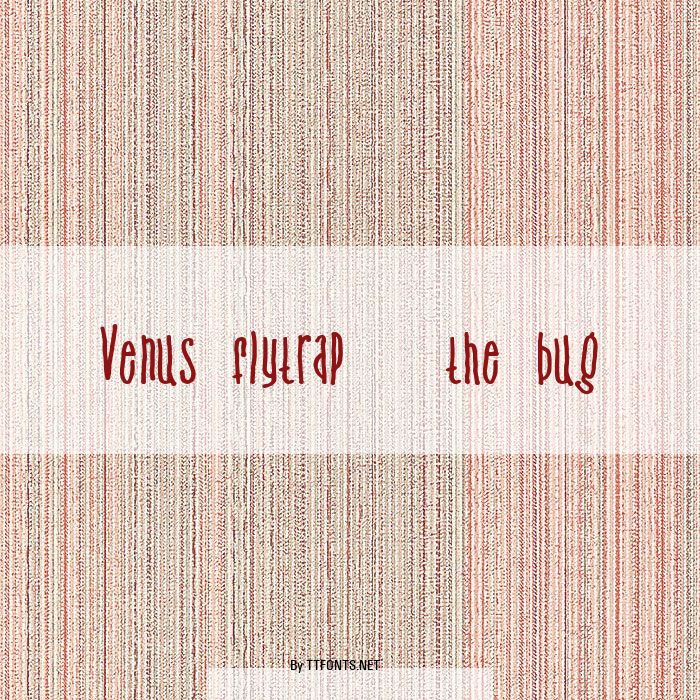 Venus flytrap   the bug example