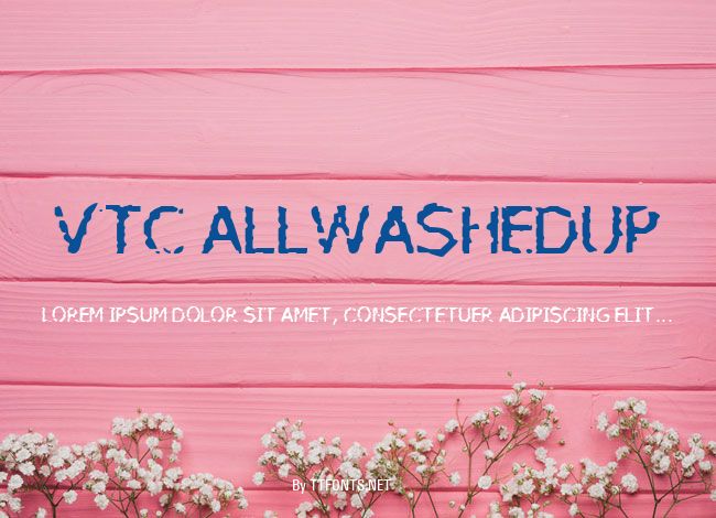 VTC AllWashedUp example