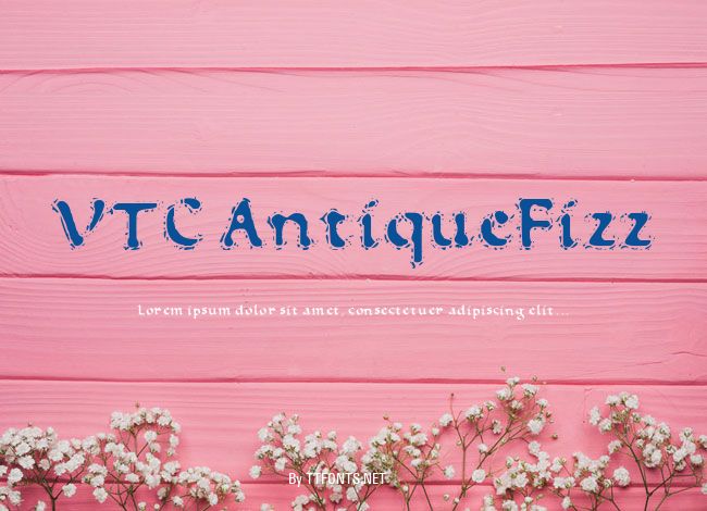 VTC AntiqueFizz example