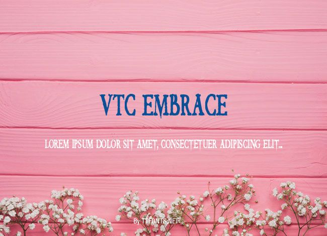 VTC Embrace example