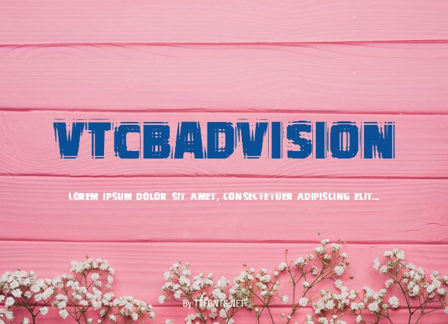 VTCBadVision example