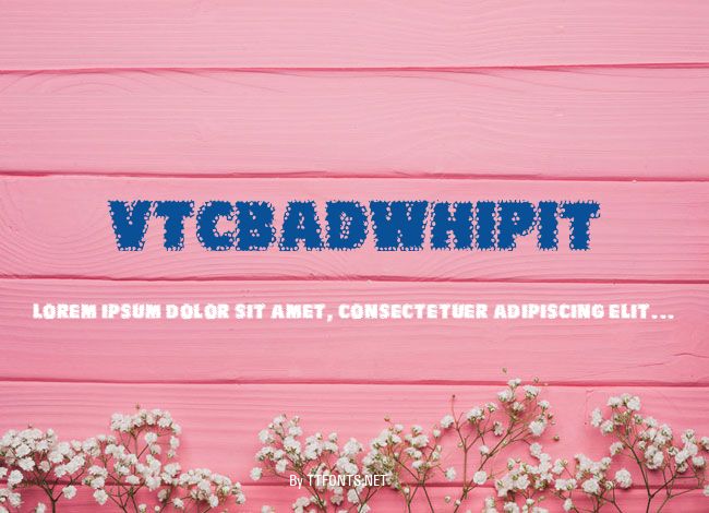 VTCBadWhipit example