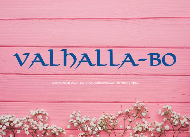 Valhalla-BO example