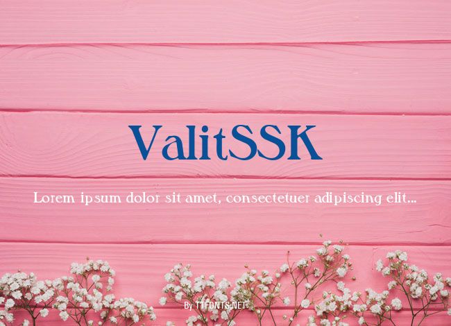 ValitSSK example