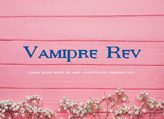 Vamipre Rev example