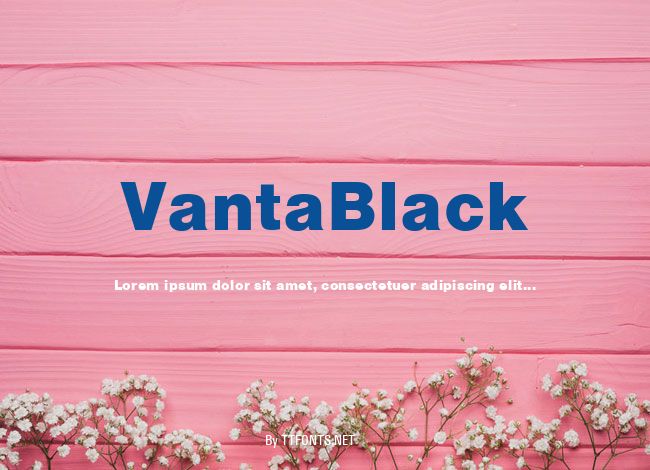 VantaBlack example