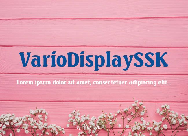 VarioDisplaySSK example