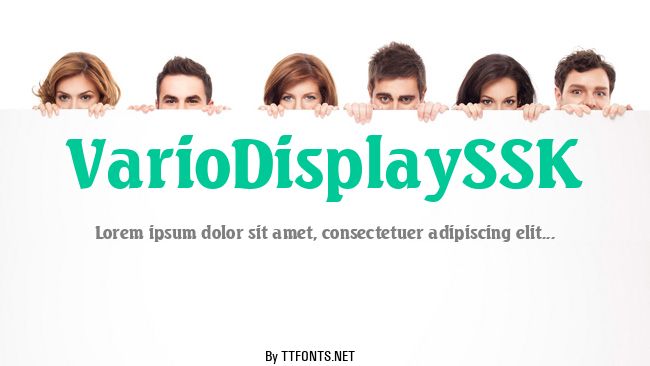VarioDisplaySSK example