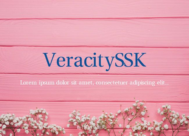 VeracitySSK example