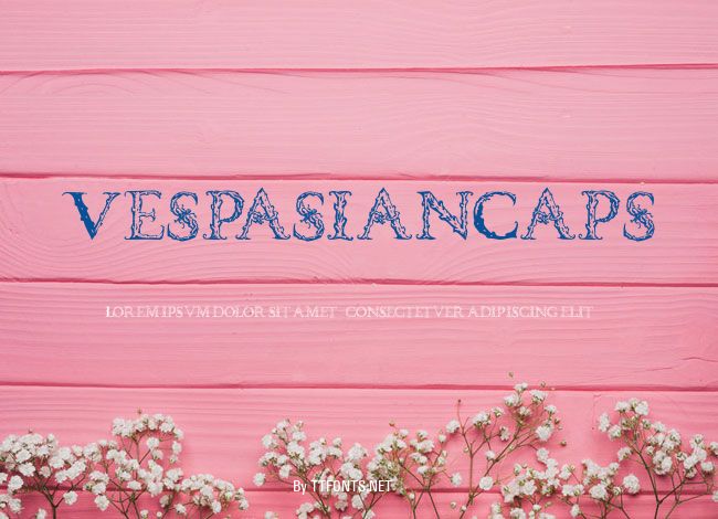 VespasianCaps example